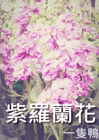 紫罗兰花白色